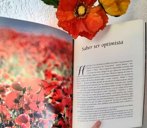 interior del libro